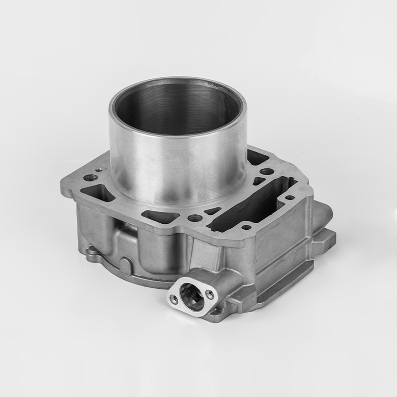 Liangzi 1000 (Φ91) Bombardier 1000 motorcylinder holdbar serie