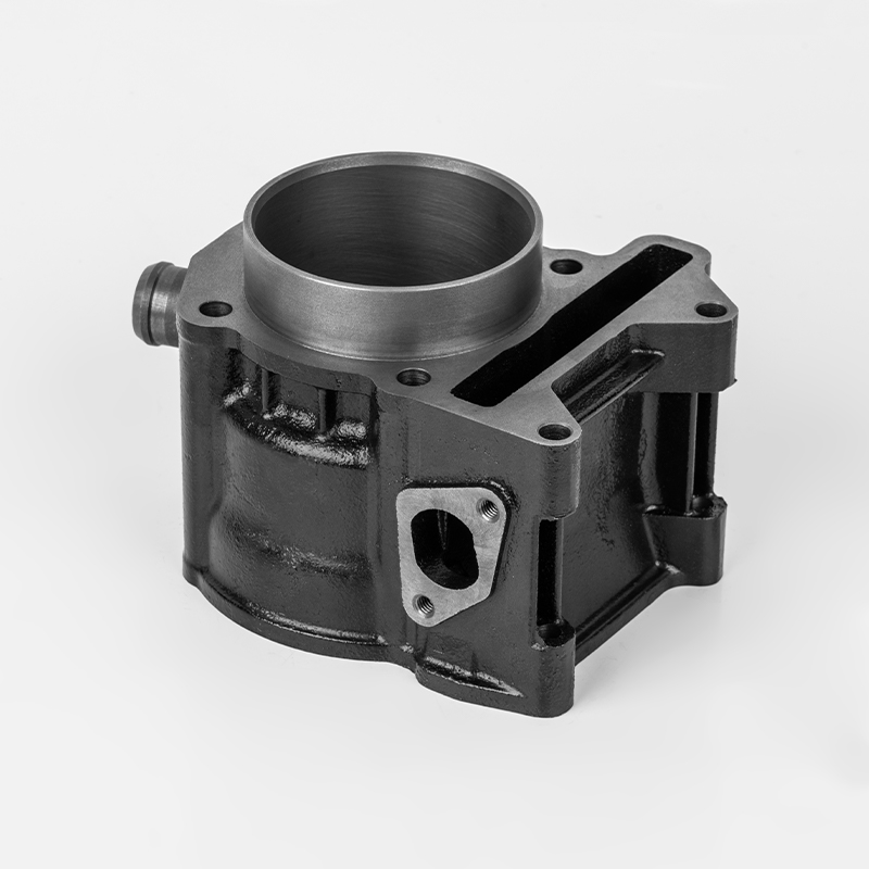 JN250/300 (Φ72/75) holdbar støbejernscylinder